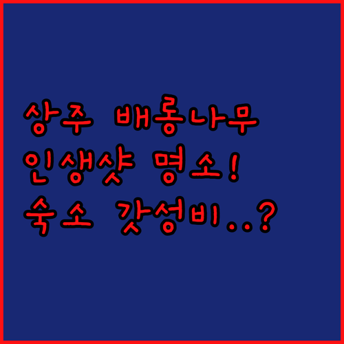 상주 낙동향교 배롱나무 포토존과 금산..