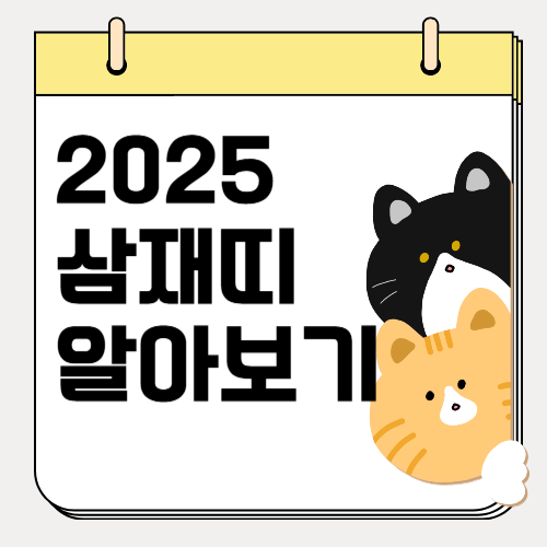 을사년 삼재 운세 띠별 해석과 대처 방법