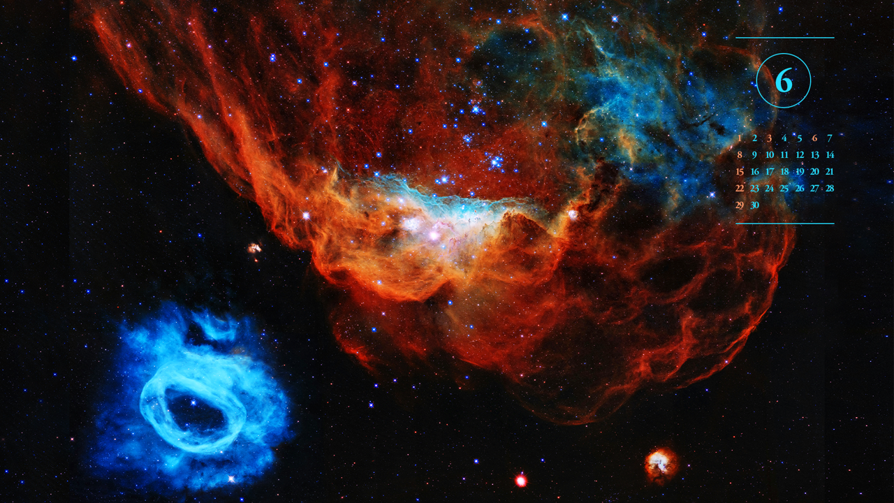 11 코스믹 리프 A - 2025년6월 노트북배경화면