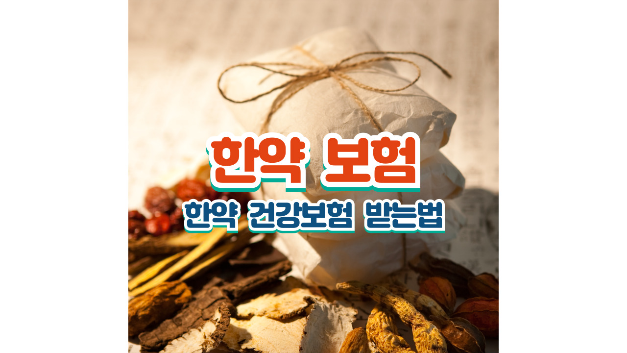 한약 건강보험
