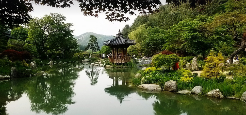 수목원 연못