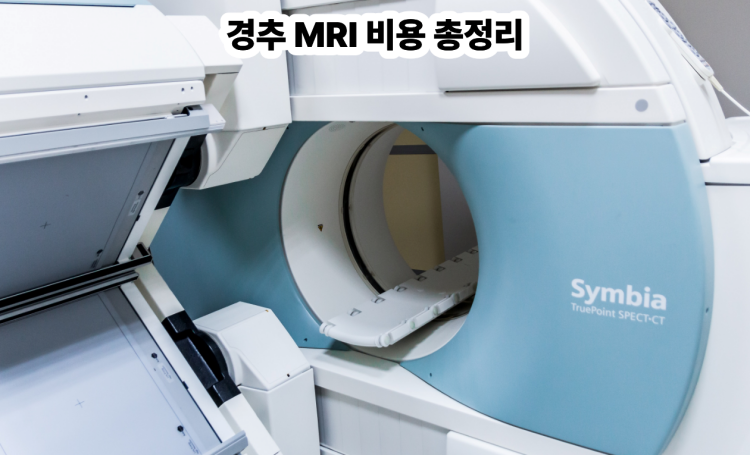 경추 MRI 비용 총정리