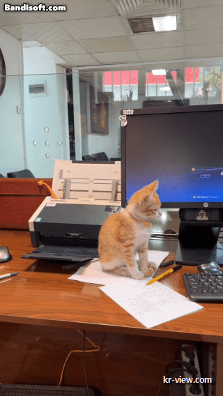 img.gif?credential=yqXZFxpELC7KVnFOS48ylbz2pIh7yKj8&expires=1767193199&allow_ip=&allow_referer=&signature=brrS%2BrWoY%2BmuhDxb7mV0ycVZGuQ%3D