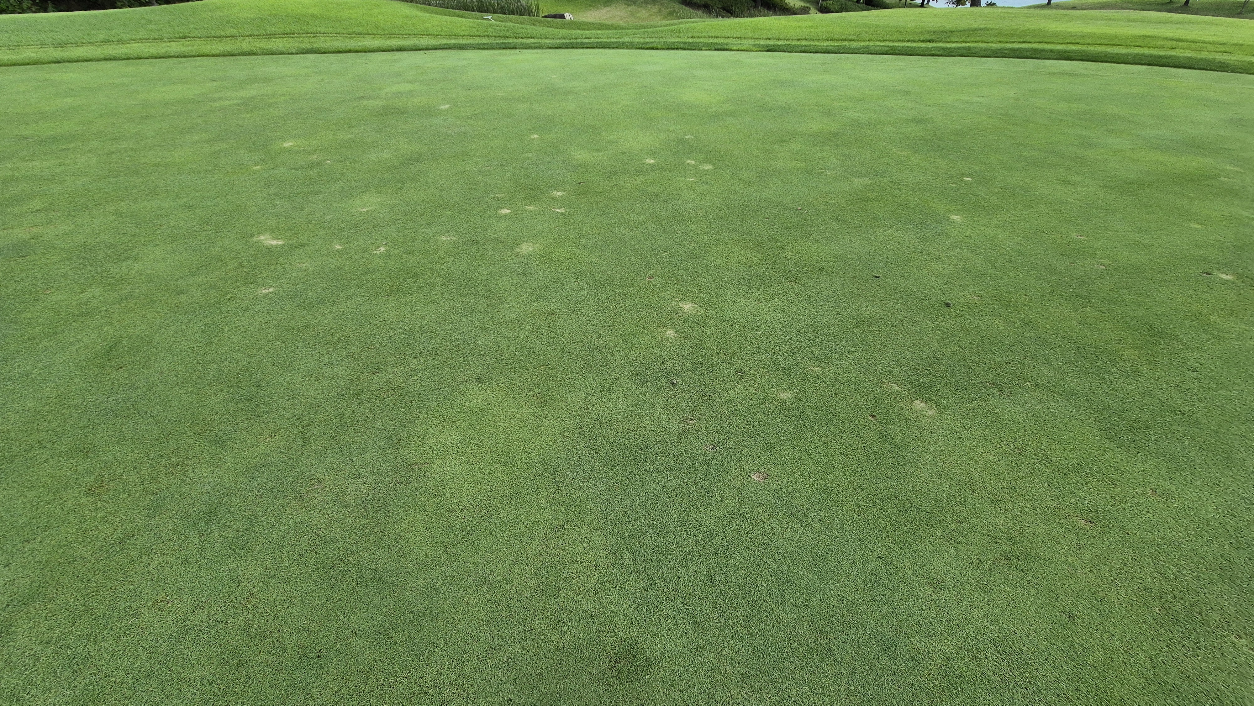 동원썬밸리cc 라운드 후기