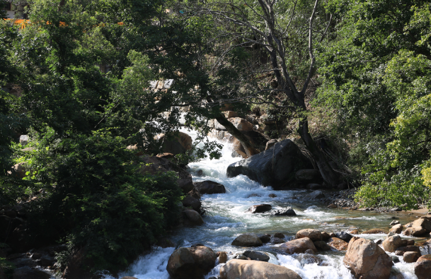 지리산 산청