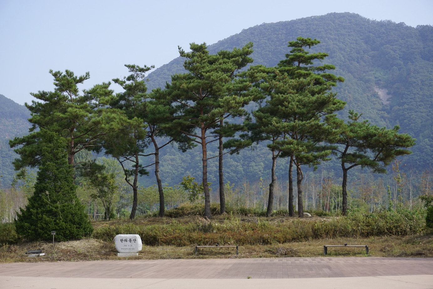 남이섬 짚라인