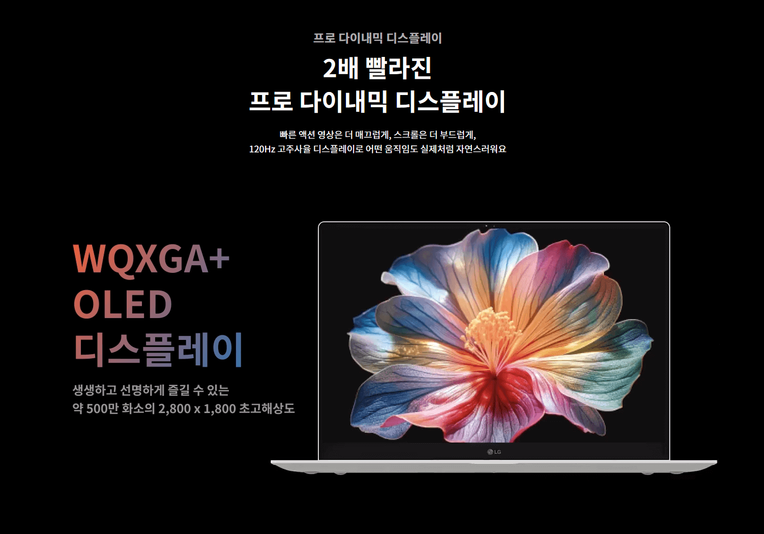 500만 화소의 생생하고 선명한 초고해상도 디스플레이 (출처: LG전자)