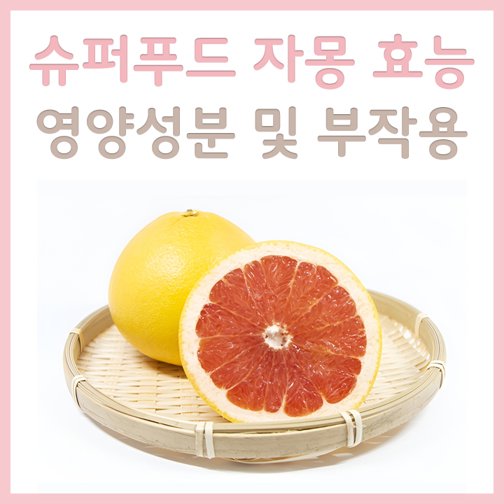 신선한-자몽