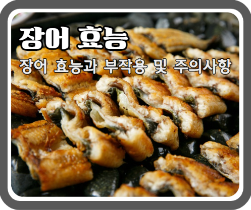 장어 효능 9가지와 부작용 및 주의사항