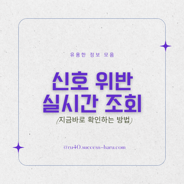 신호 위반 실시간 조회