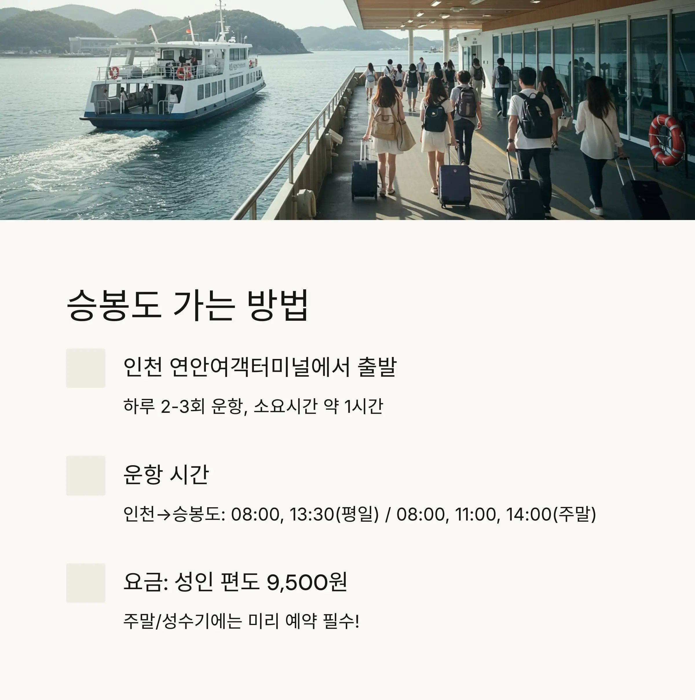 🚢 배시간표와 교통편