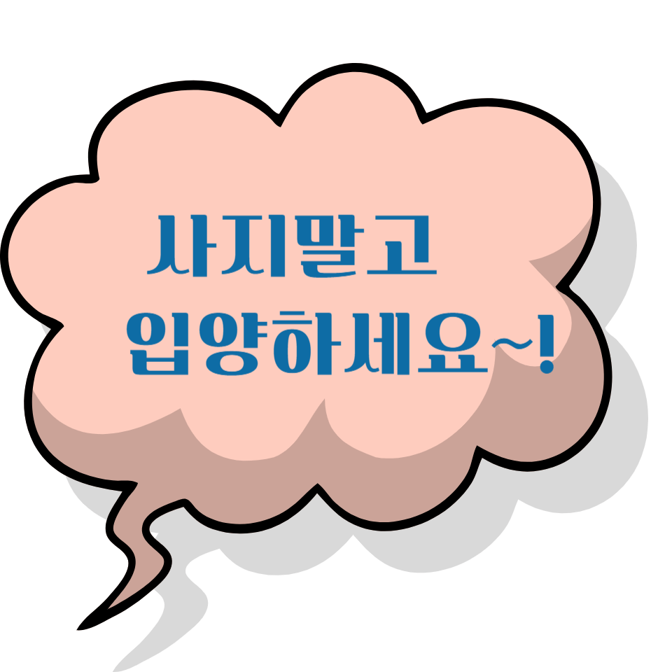 강아지가 사료를 안 먹어요 - 해결책