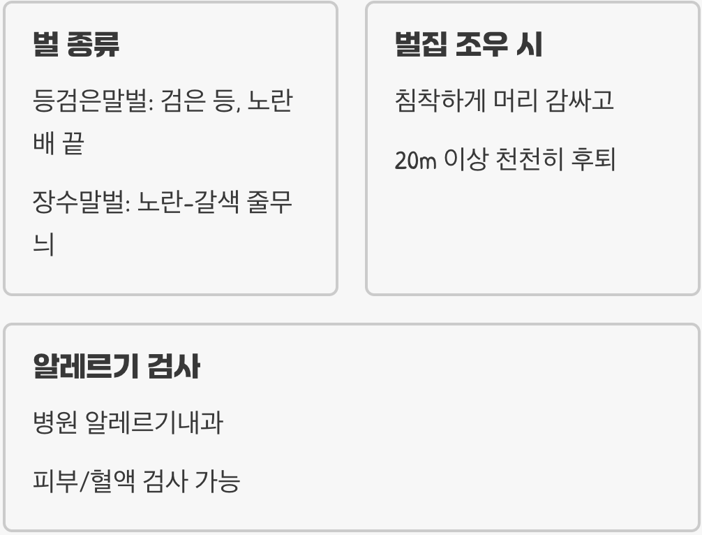 등검은말벌 침에는 독이 얼마나? 쏘임 사고 후 병원에 꼭 가야 하는 증상