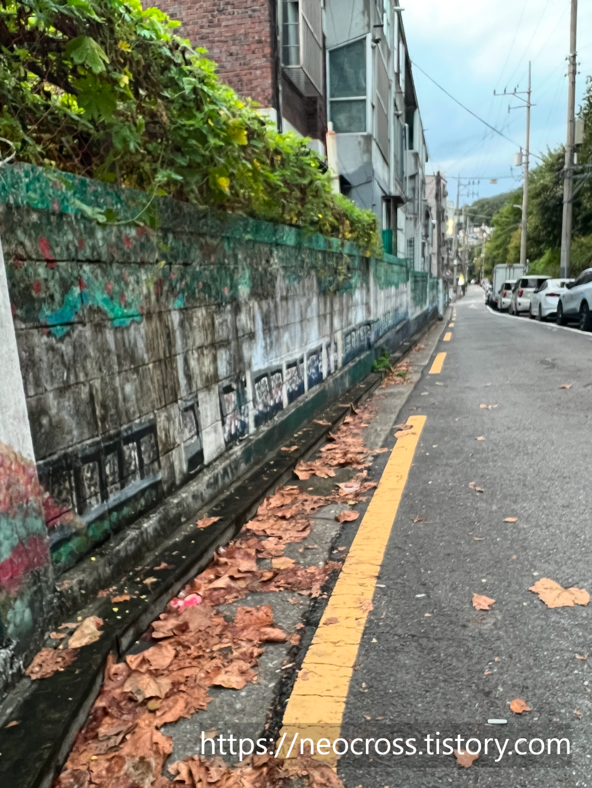 디지털 디톡스 산책