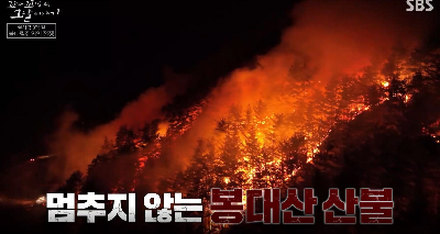 울산 봉대산 불다람쥐