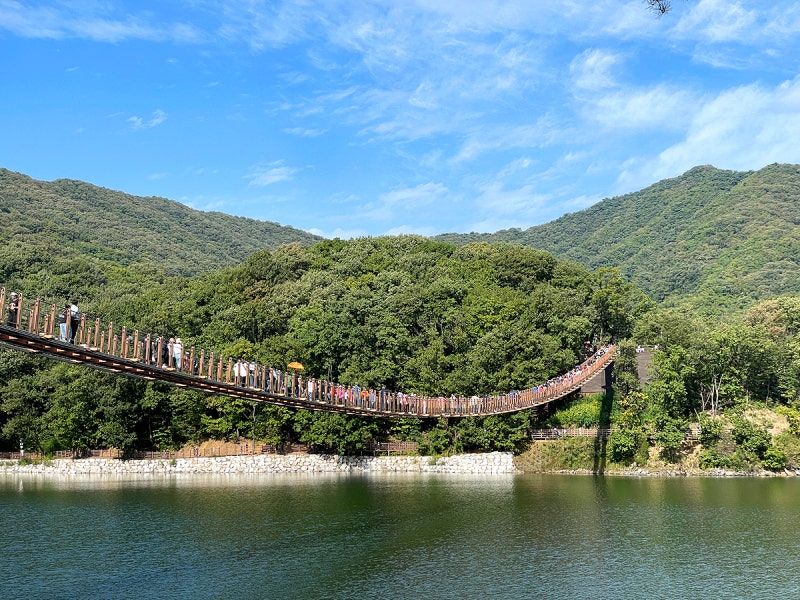경기도 파주 마장호수출렁다리 소개