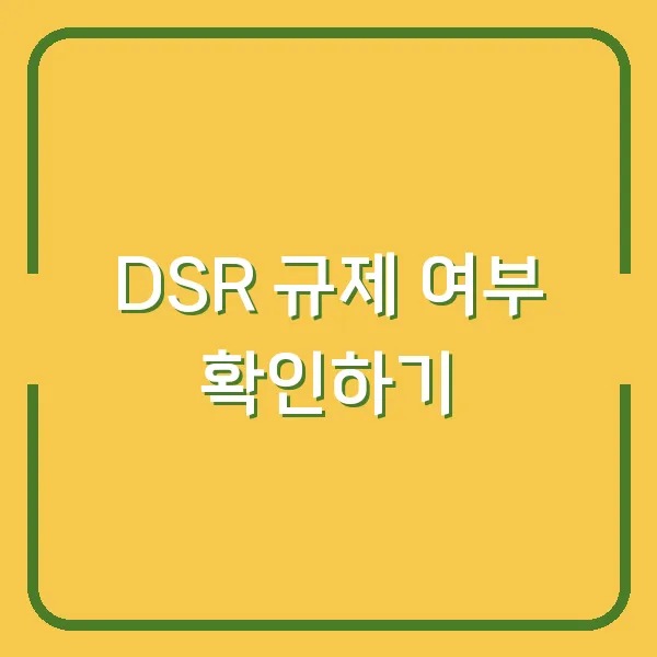 DSR 규제 여부 확인하기