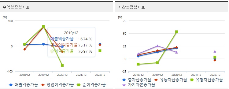 씨싸이트투자성장성