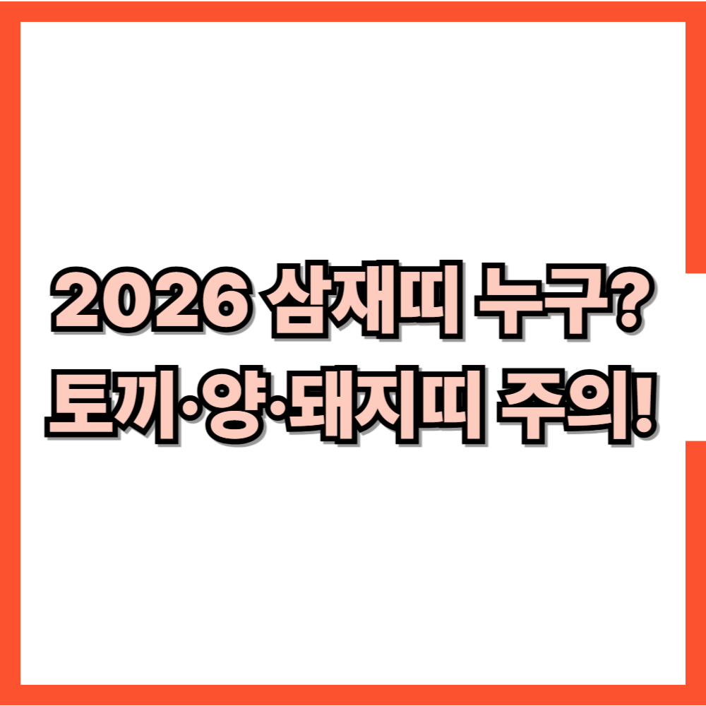 2026년 삼재띠