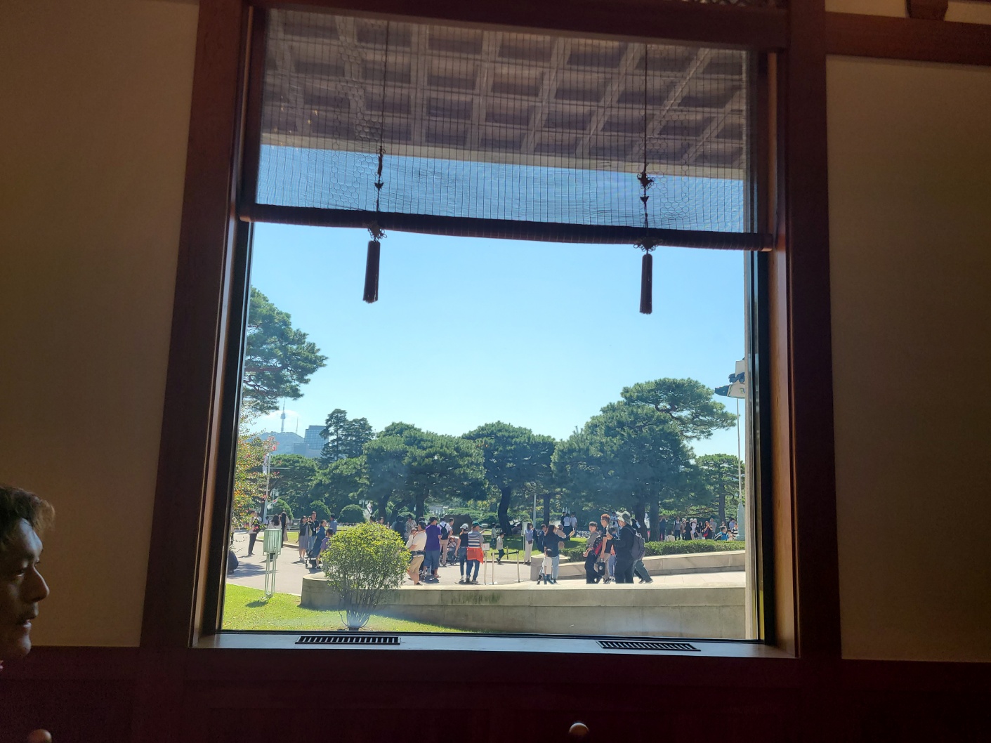 청와대 관람 하기