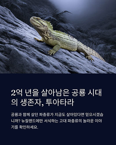 살아있는 화석&rsquo;이라 불릴까?