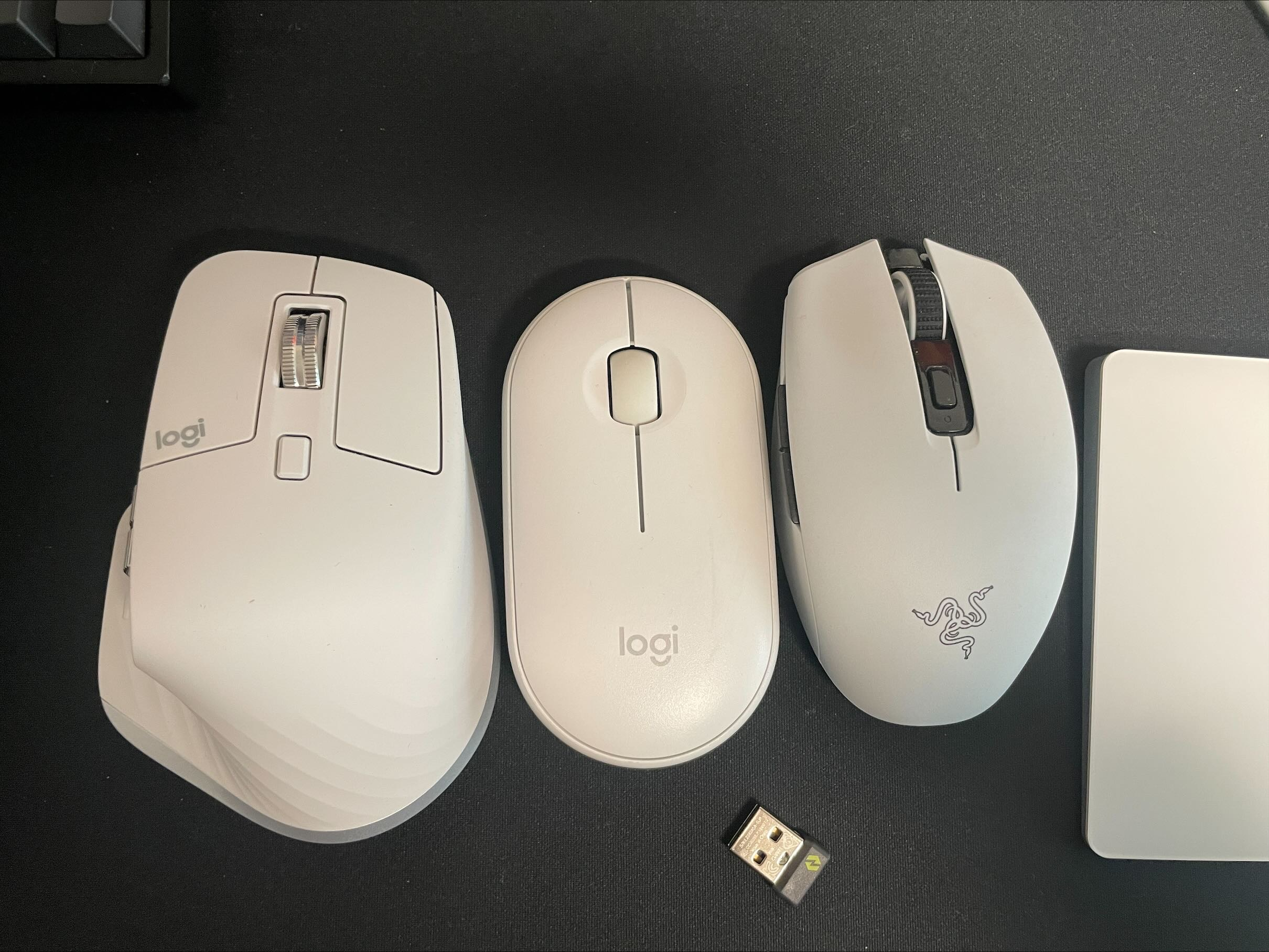 마우스 크기 비교