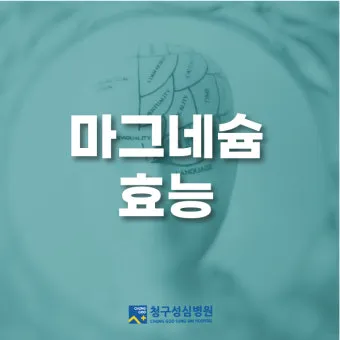 마그네슘 효능 으로_25