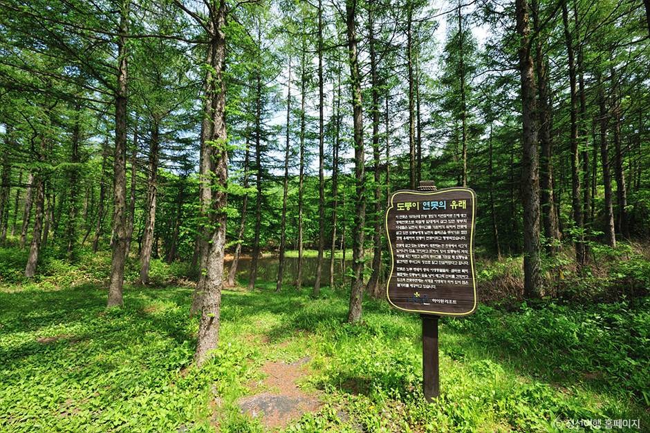 도롱이연못 둘레길