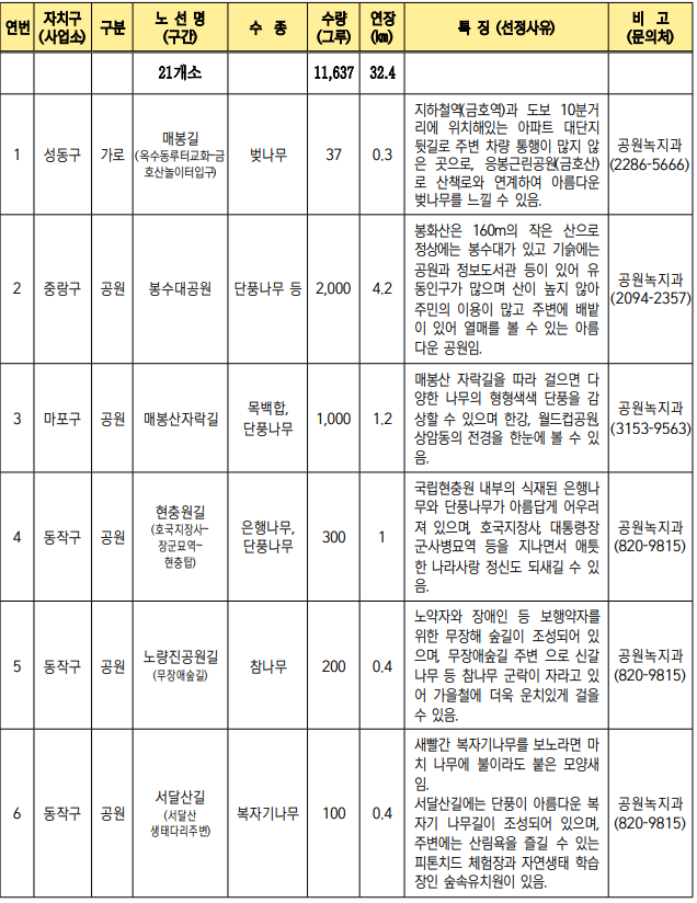 서울 단풍길 99선 소개