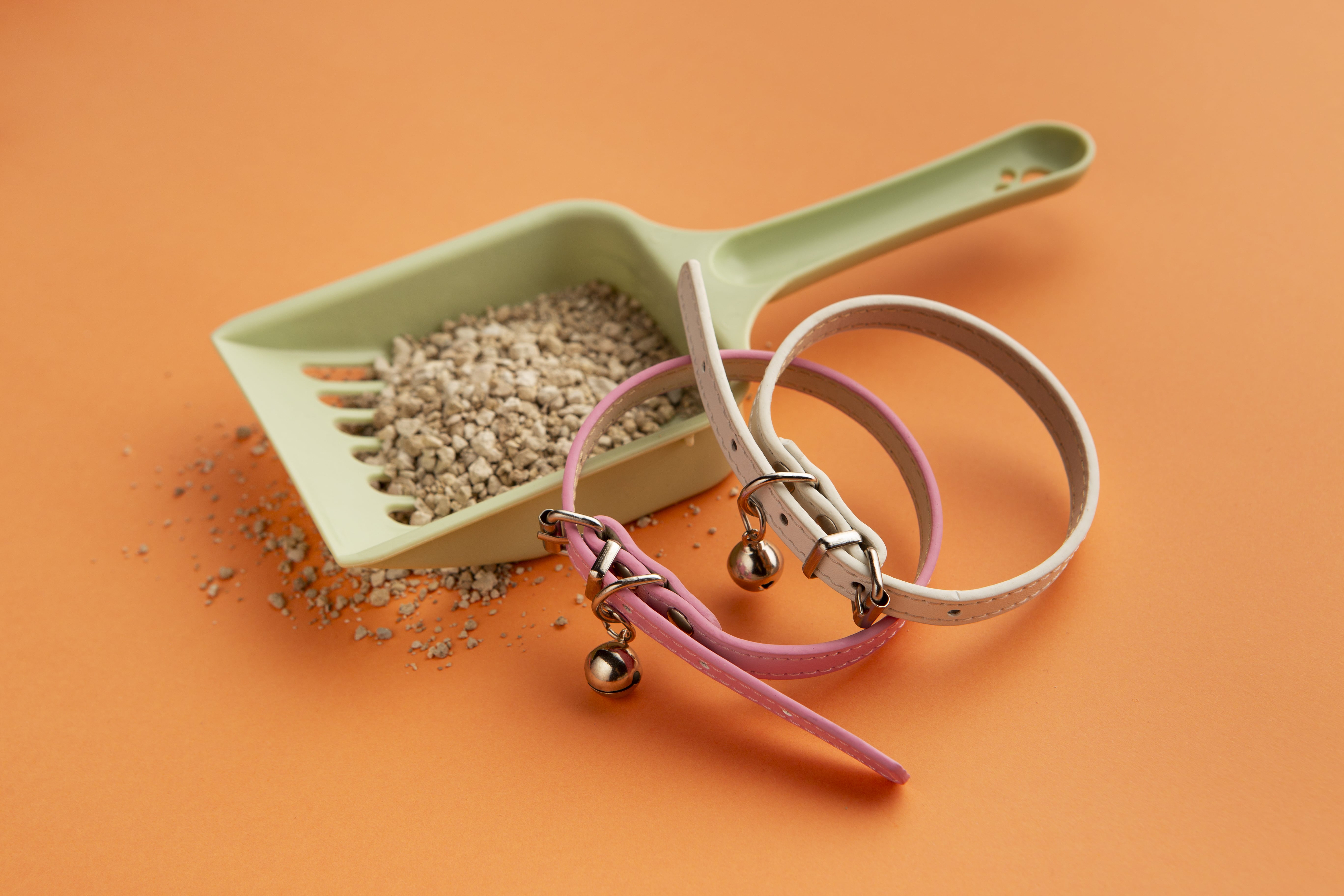 16회 광주펫쇼 2024 사전 등록하기(10/4 ~ 10/6)