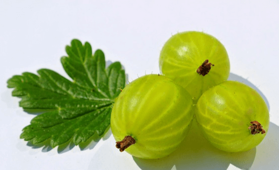 연두색의 작고 동글동글한 구스베리 3개가 있고, 왼쪽에는 초록색 잎 하나가 있다.