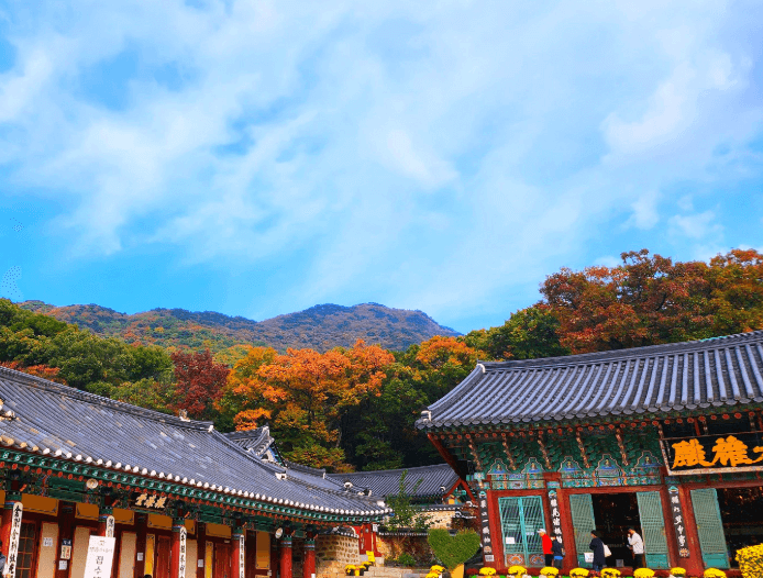 갑사