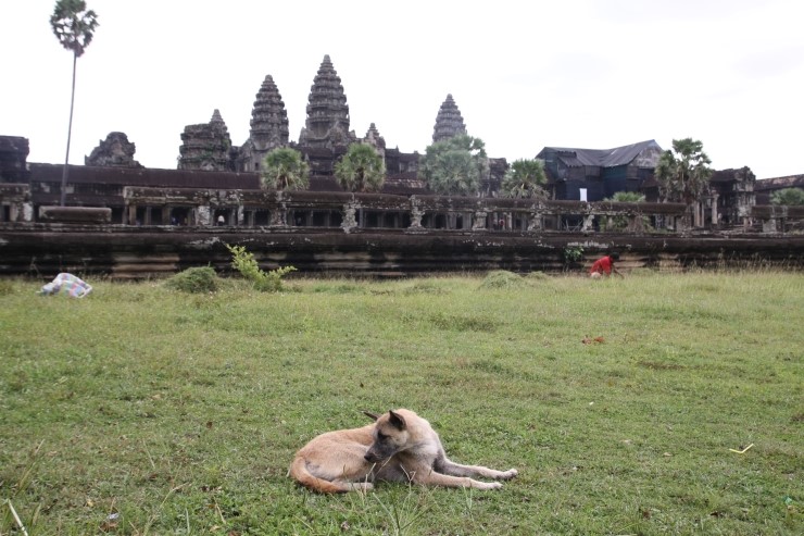 캄보디아 여행