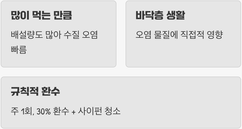 수질 관리 - '똥쟁이'를 위한 부지런함