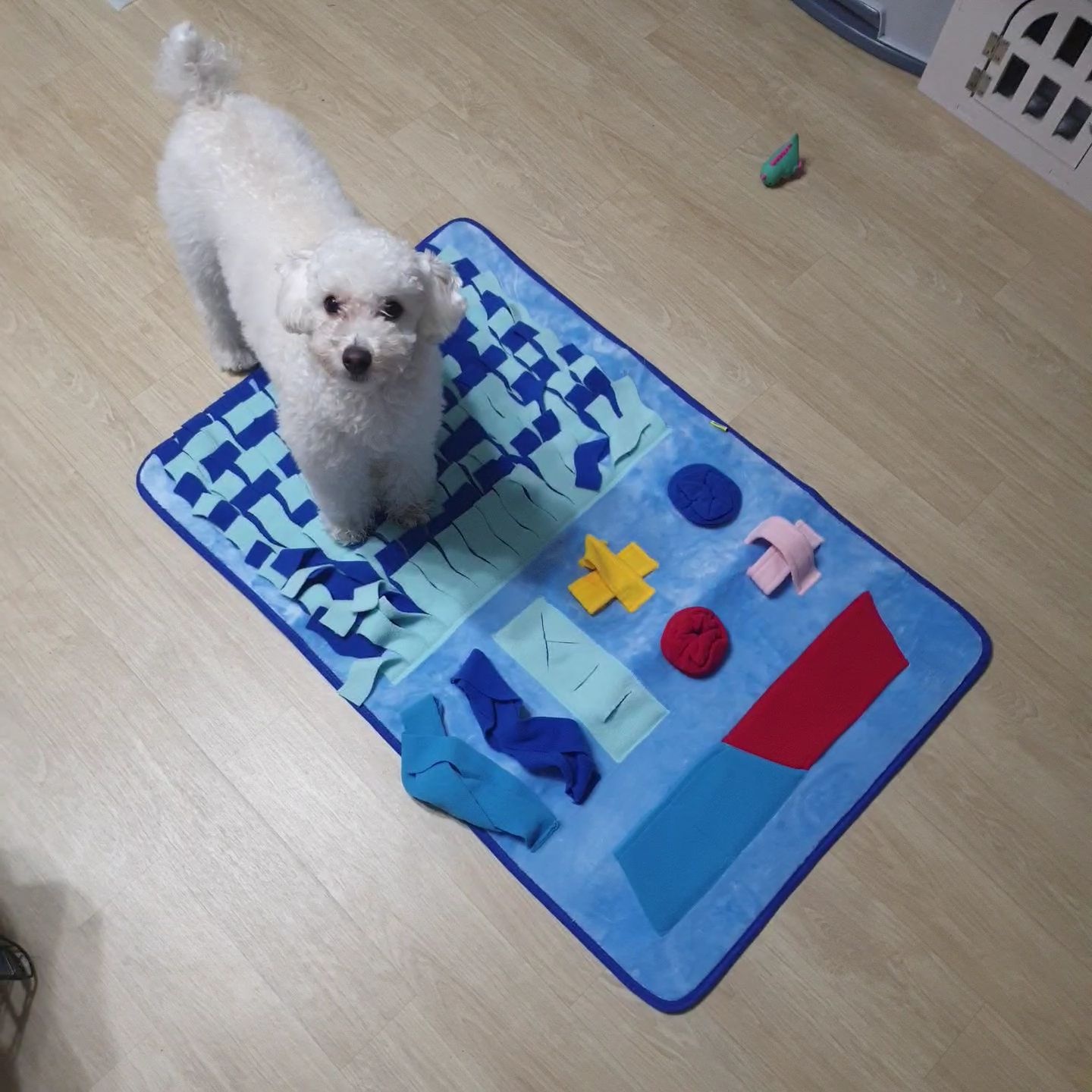 분리불안 해결방법 중 노즈워크와 우드스틱