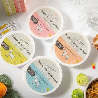 노령견 신부전2기 자연식 화식 레시피 건강식_24