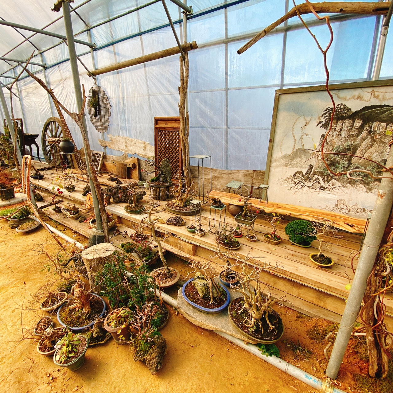 강화도 야생화 뜰 카페