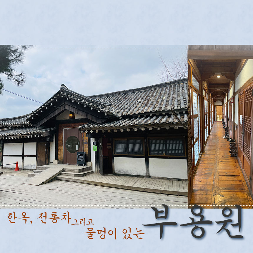 고모리 카페