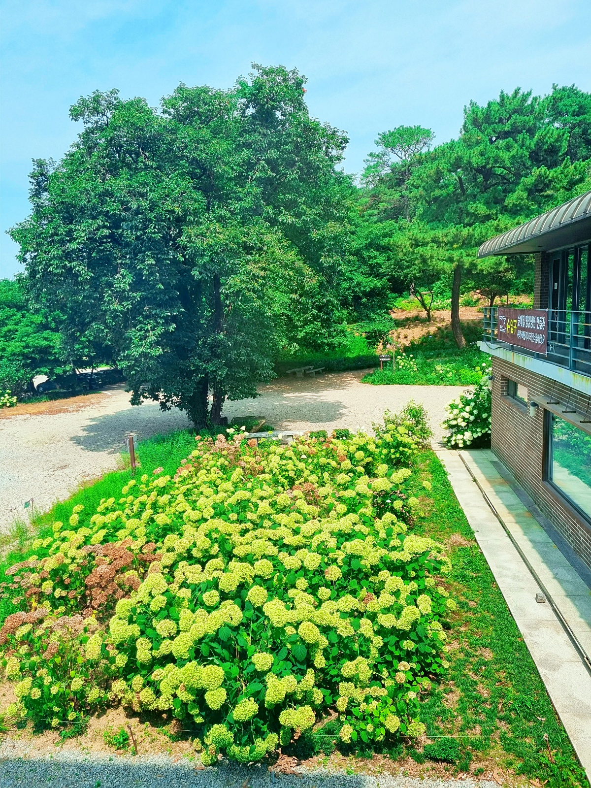 충남 당진 평양냉면 맛집 미당면옥, 블루리본 정원 카페 피어라: 아미미술관 근처 맛집