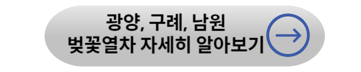 봄꽃 기차여행 (벚꽃기차)코스 및 금액 정리