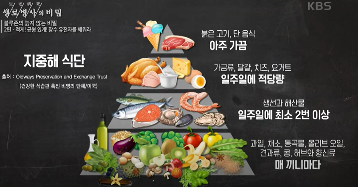 지중해식 다이어트 식단