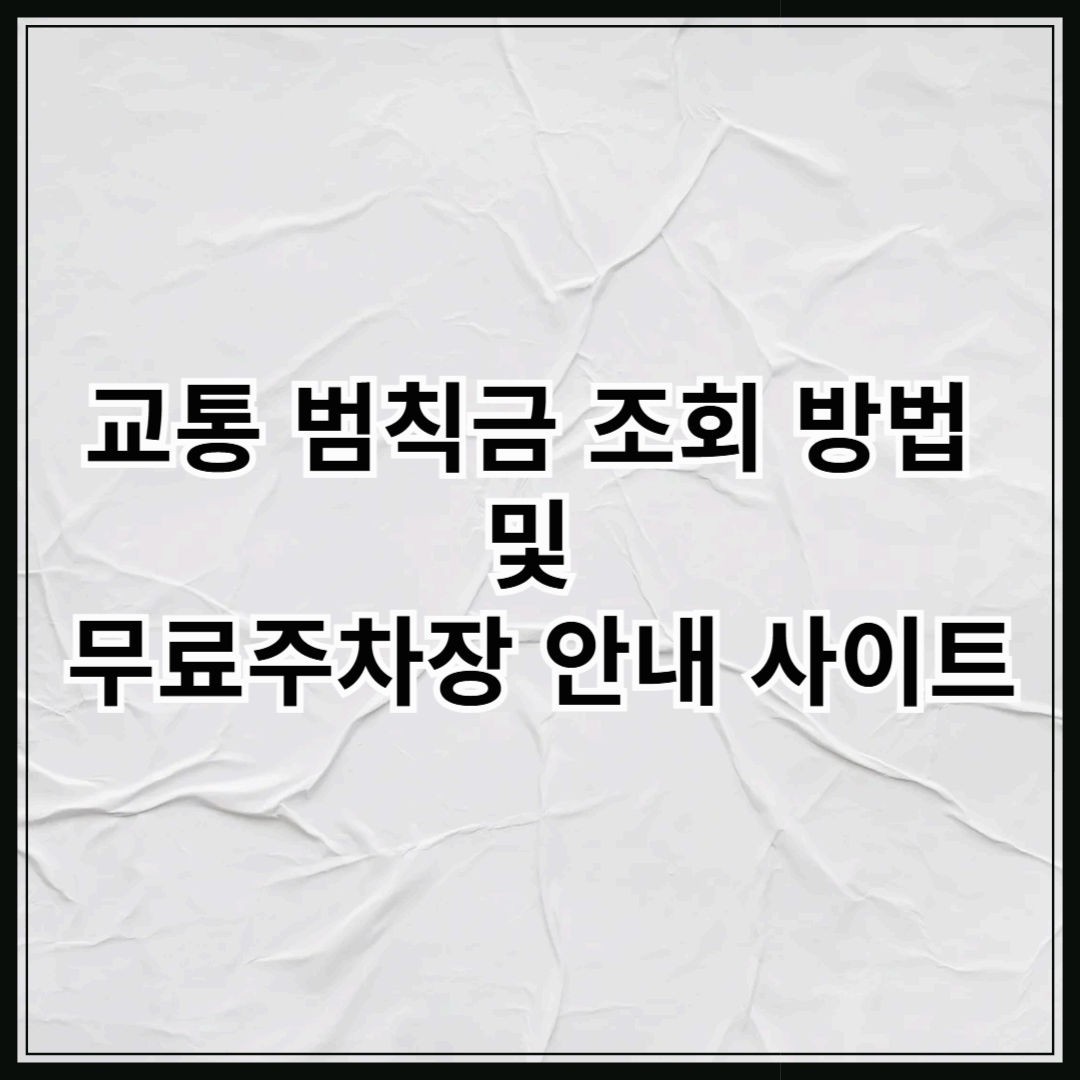 교통 범칙금 조회 방법 및 무료주차장 안내 사이트