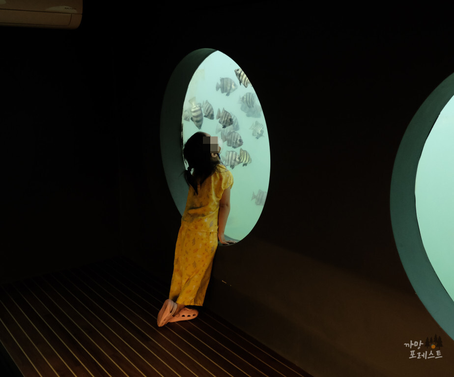 카페더씨 포토존