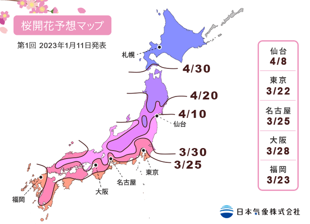 2023년-일본-벚꽃-개화-예상-지도