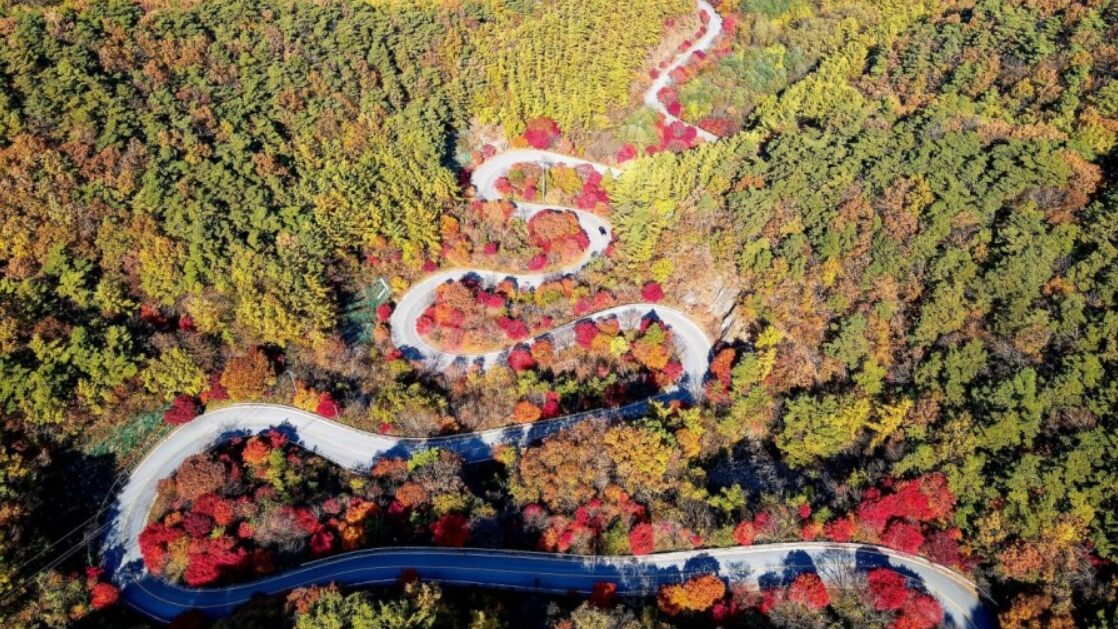 2024년 가을 단풍시기 (출처 : 한국관광공사)