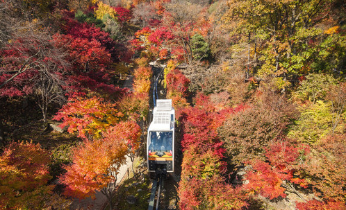 경기도 광주 곤지암 화담숲 단풍 축제