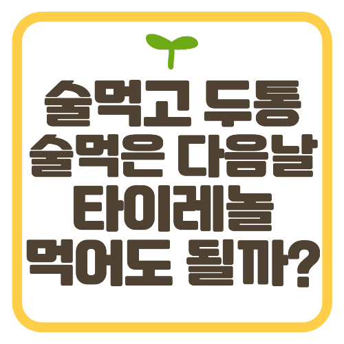 술먹고 두통 타이레놀, 술먹은 다음날 타이레놀