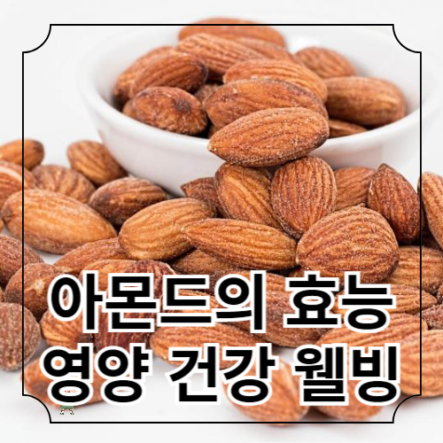 아몬드의 효능