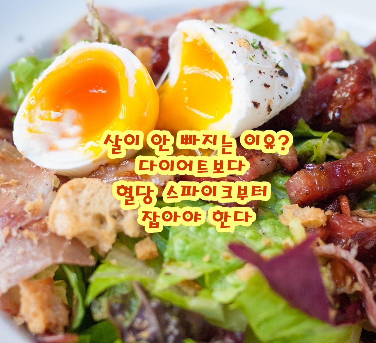 살이 안 빠지는 이유? 다이어트보다 혈당 스파이크부터 잡아야 한다