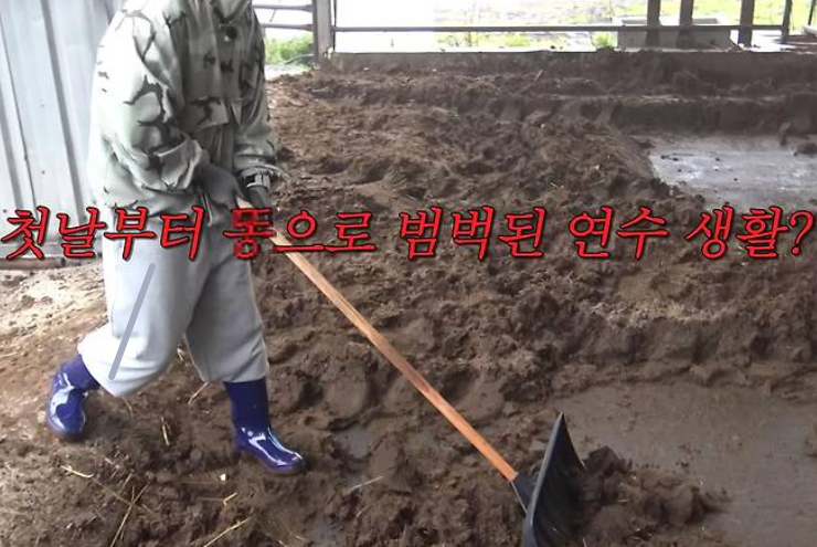 콩콩팜팜 촬영지 제주도 목장 위치 첫 방송 정리